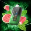 OXBAR ICENIC 35K<span> - </span>WATERMELON MINT